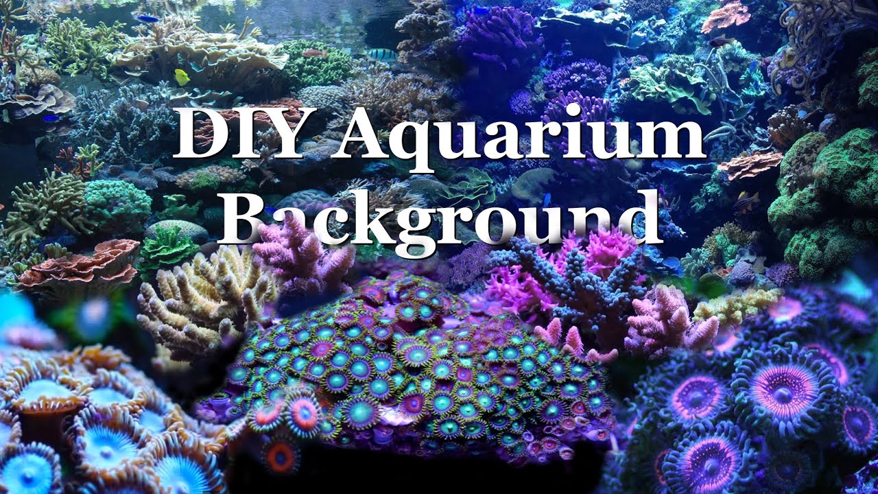 Diy Aquarium Background