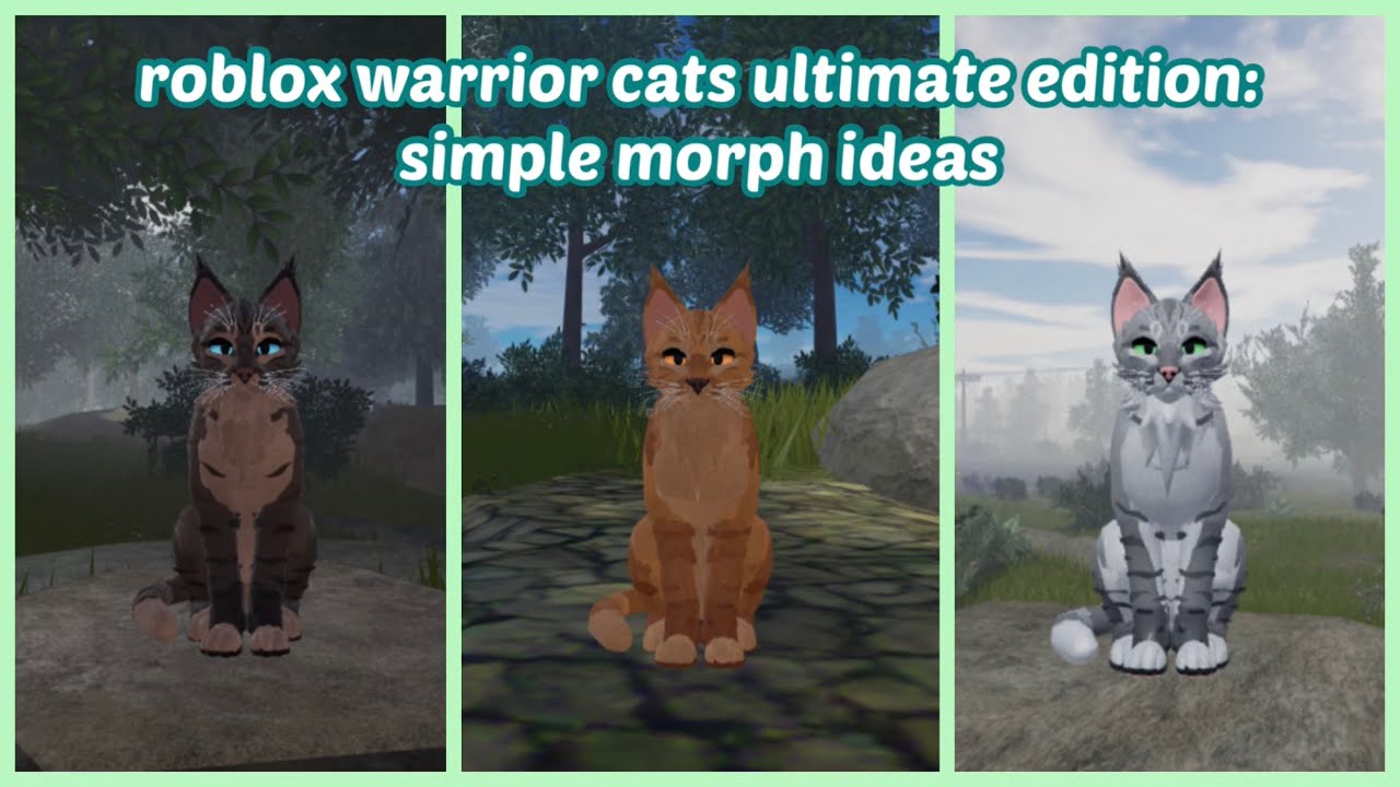 Warrior Cats Ultimate Edition Morph Ideas 2022 Welcom - vrogue.co