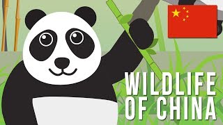 Wildlife of China