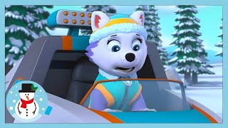 stuck on ice paw patrol wildbrain kids