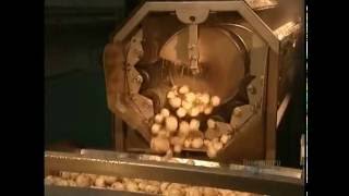 How It's Made - Potato Chips