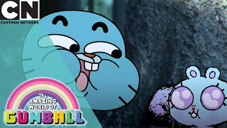 Gumball | What is The Meaning of Life? | Cartoon Network UK