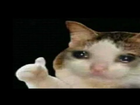 Thumbs Up Crying Cat | Know Your Meme