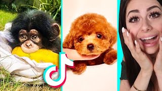 The CUTEST TIKTOK Compilation Ever !