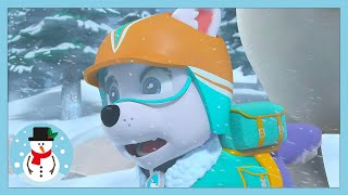 snow boarding emergency paw patrol wildbrain kids