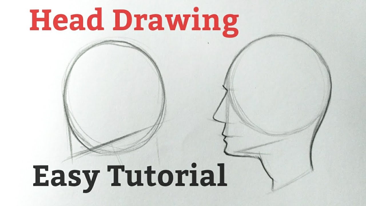 How To Draw A Human Head Side View