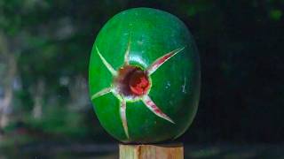 POTATO GUN Vs. WATERMELON  In SLOW MOTION - Smarter Every Day 155