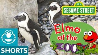 Sesame Street: Animal Friends At The Zoo (Elmo At The Zoo #5)