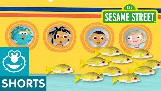 Sesame Street: Rosita Explores the Great Barrier Reef | Story Time Adventures #3