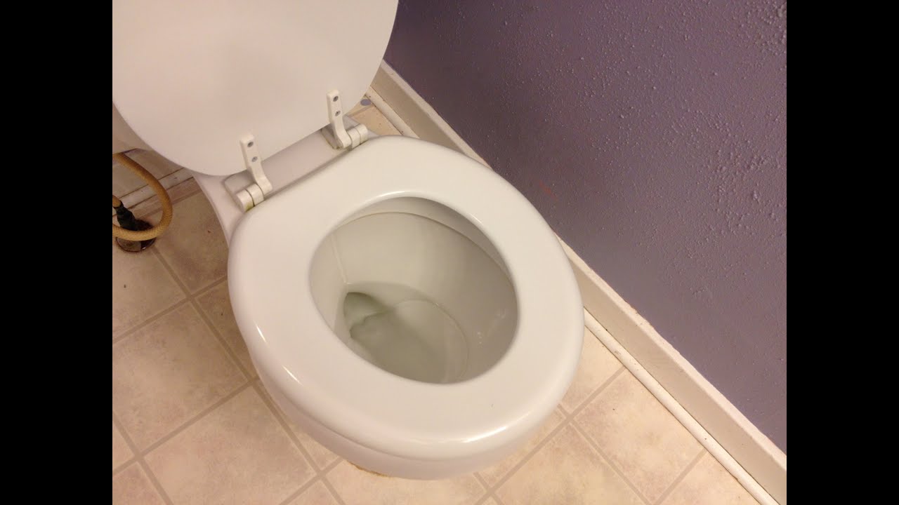 how-to-quickly-get-water-out-of-your-toilet-bowl-youtube