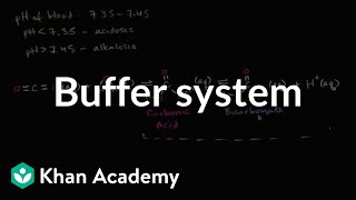 Buffer System