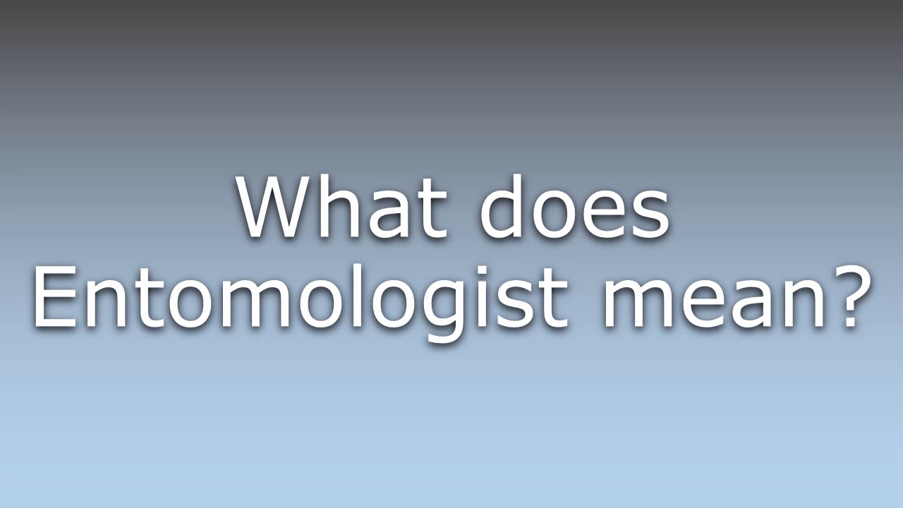 What does Entomologist mean? - YouTube