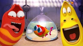 larva baby fish special cartoon movie cartoons for children larva cartoon larva official