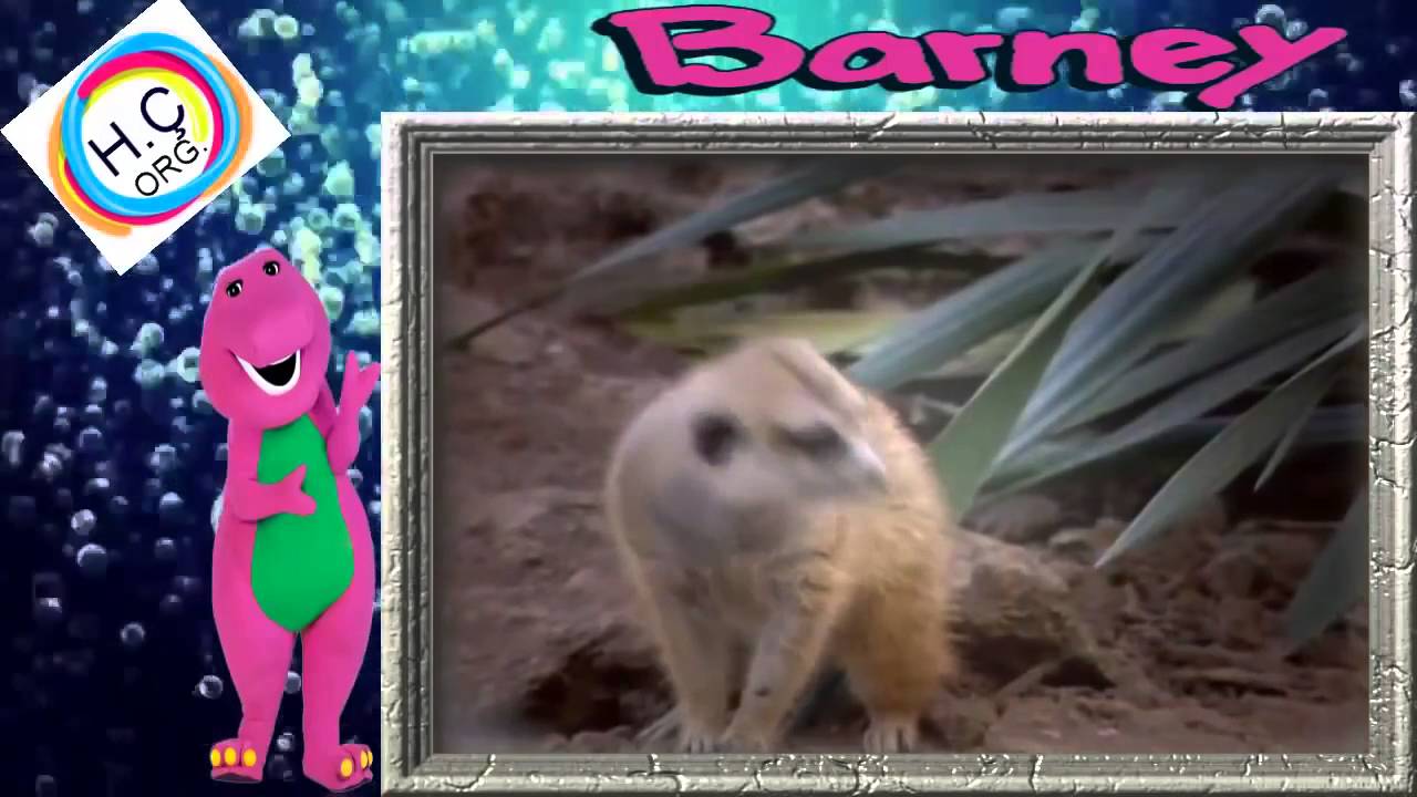 Barney Zoo Animals