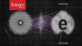 The electron is still round. And the universe is still safe