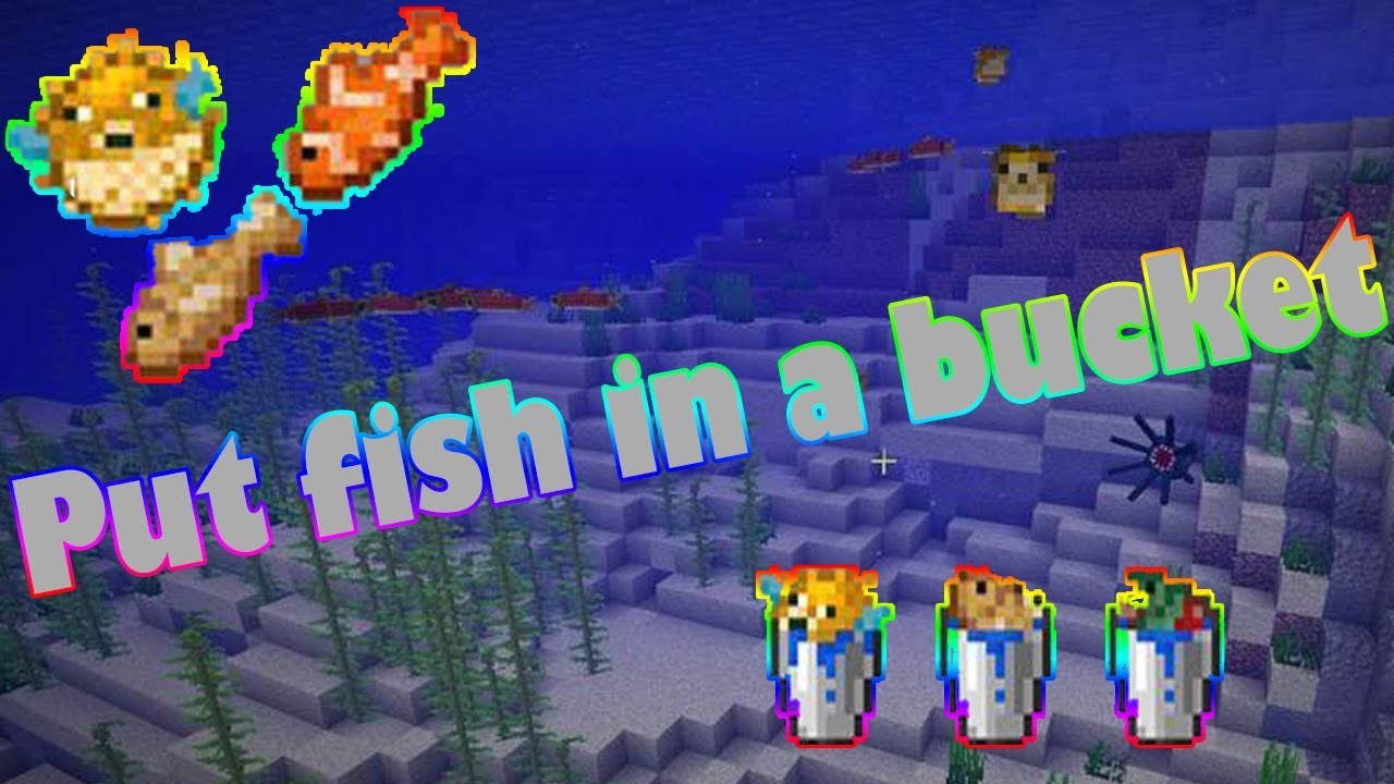 Can You Keep Fish In Minecraft? A Guide To Aquatic Adventures!