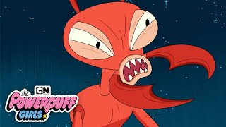 The Powerpuff Girls |  A Giant Ant Attacks the City! | Cartoon Network