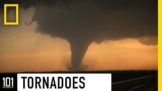 Tornadoes 101