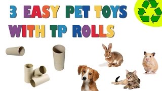 How To Make 3 Easy PET TOYS Made With Toilet Paper Rolls - Pet Crafts