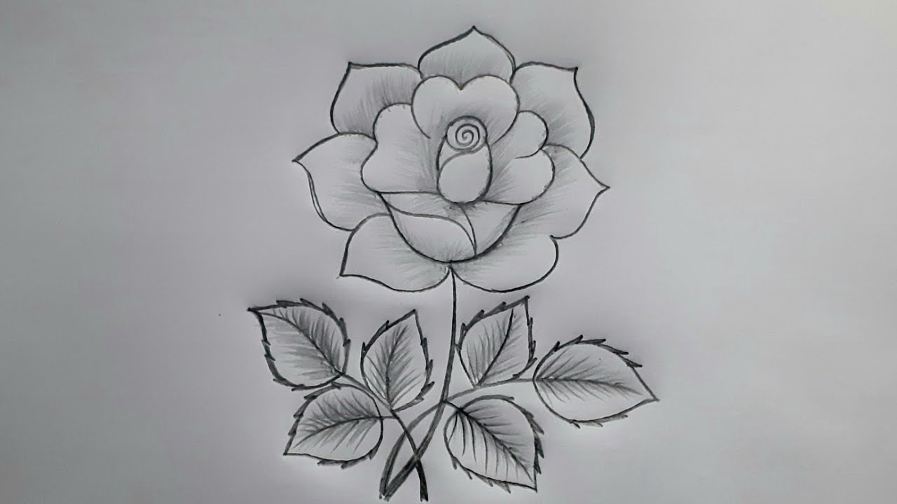 Rose Drawing | How To Draw A Rose | Flower Design Drawing | Flower ...