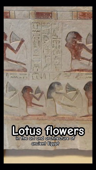 The Lotus in ancient Egypt #ancientegypt - YouTube