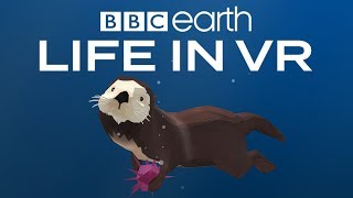 BBC Earth: Life in VR - California Coast | Launch Trailer | Google Daydream