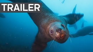 Blue Planet II Official Trailer 2 - BBC Earth