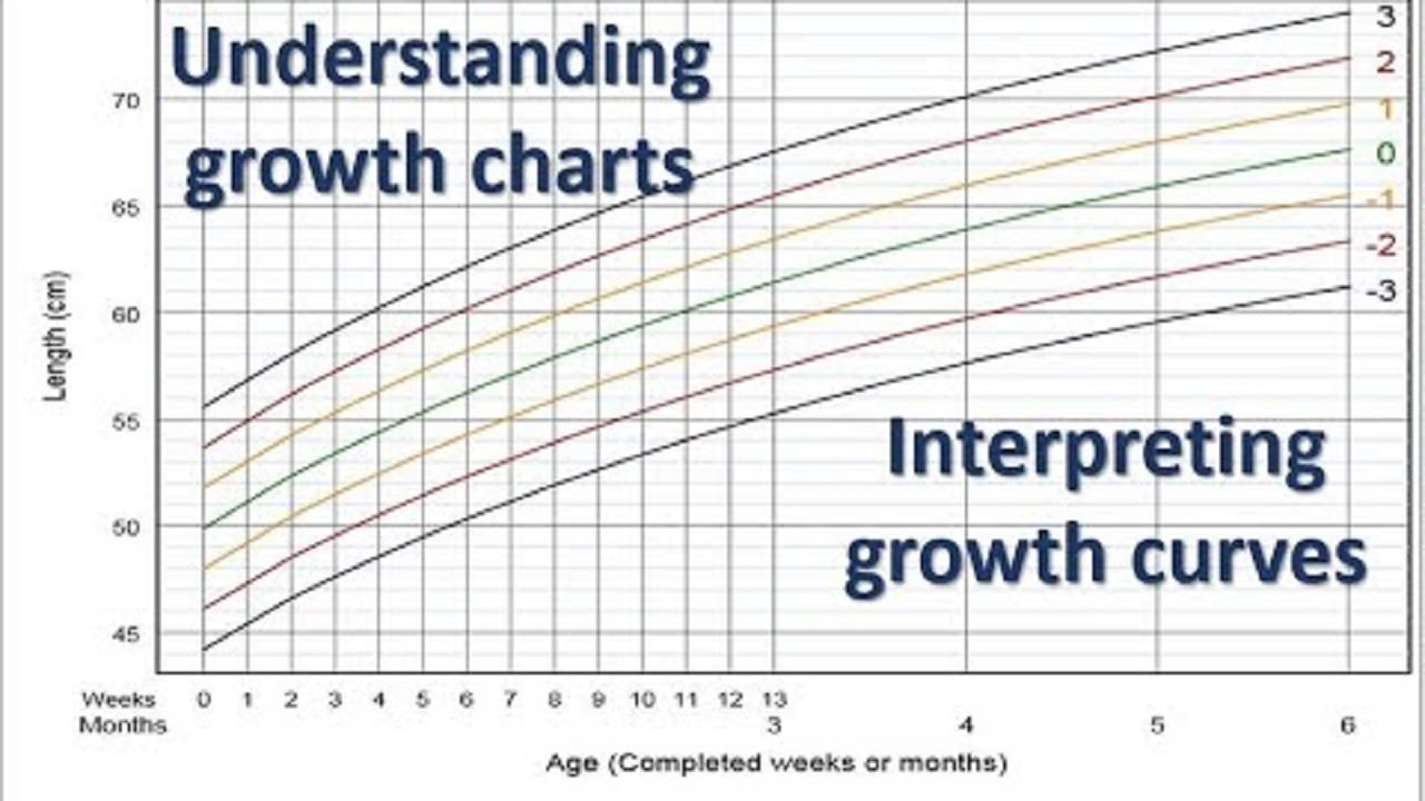 Understanding And Plotting Growth Charts Of Newborns And, 41% OFF