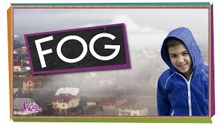 Where Does Fog Come From? | Weather for Kids