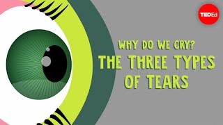 Why Do We Cry? The Three Types Of Tears - Alex Gendler