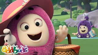 baby newt and jeffs park picnic oddbods full episode funny cartoons for kids