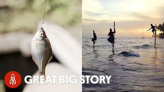 5 Creative Ways People (and Birds) Fish Around the World