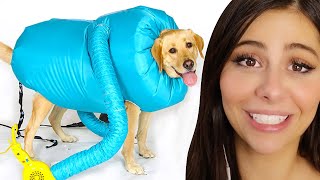 Pet inventions that SHOULDN'T exist !!