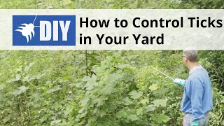 How to Control Ticks in the Yard