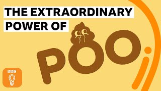 The extraordinary power of poo! | BBC Ideas