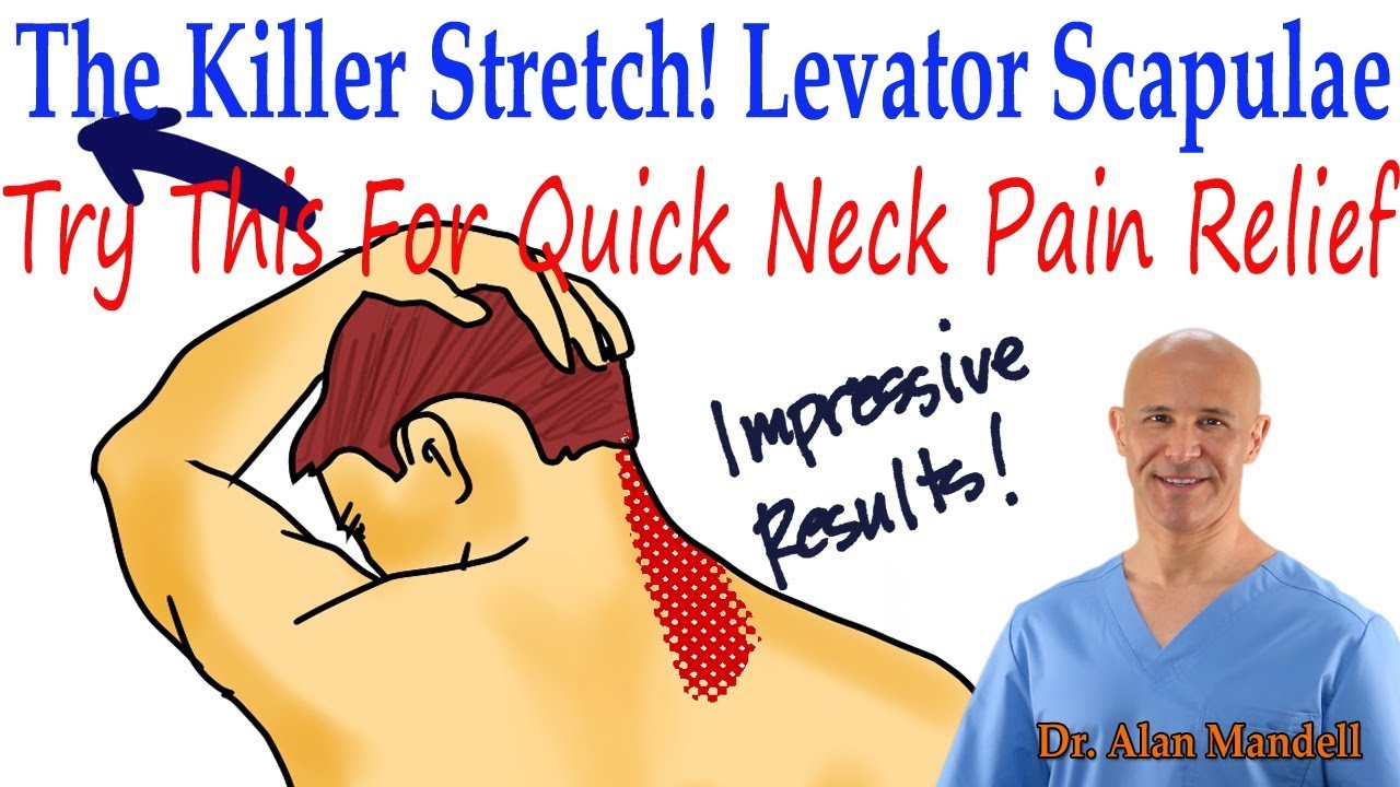 Physio Exercise For Levator Scapulae Muscle Pain Synd - vrogue.co