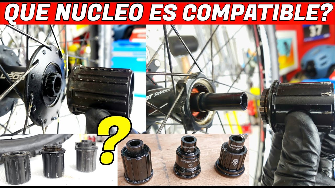 Tipos De Nucleos Mtb | atelier-yuwa.ciao.jp