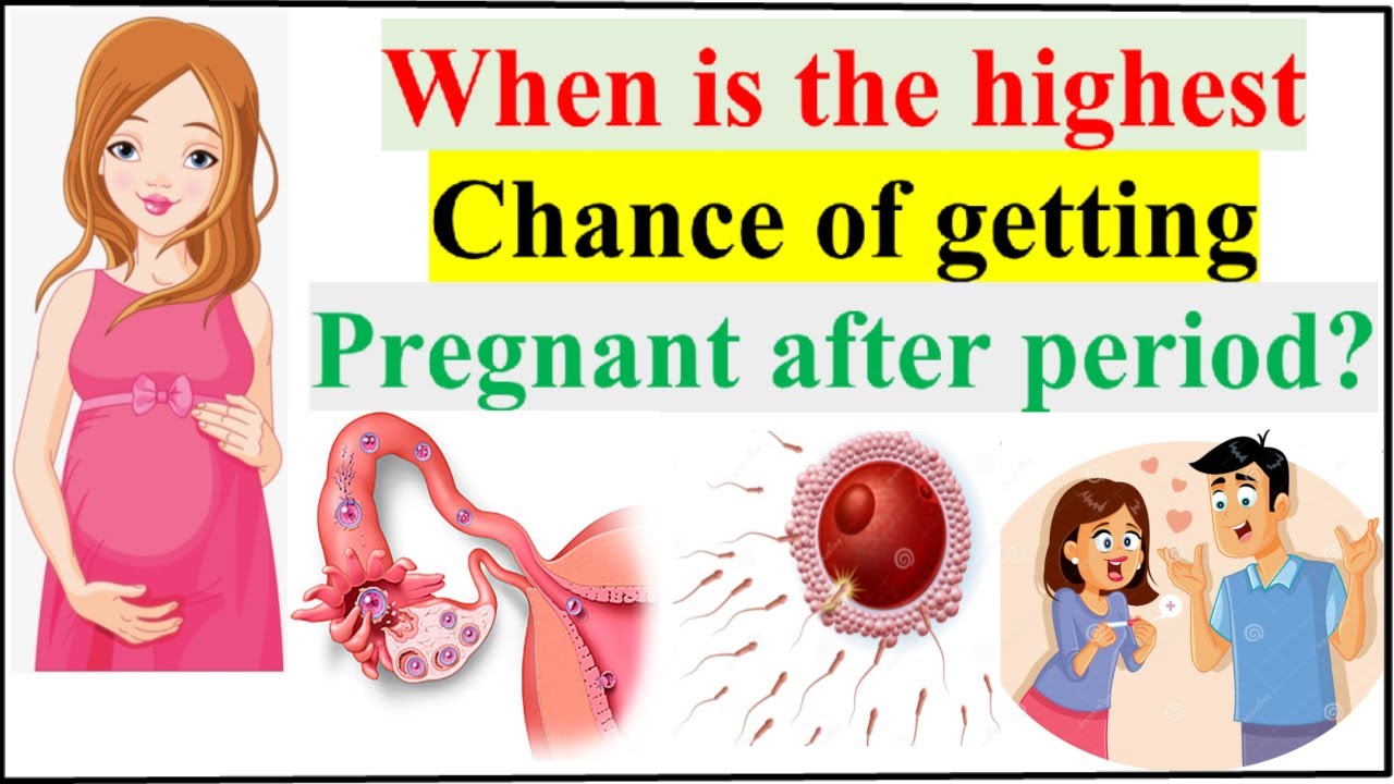 When is the highest chance of getting pregnant after period? How you ...