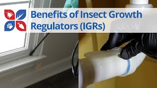 Benefits of Using Insect Growth Regulators