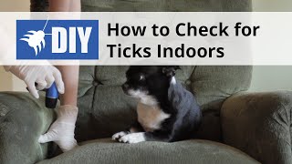 How to check for Ticks Indoors