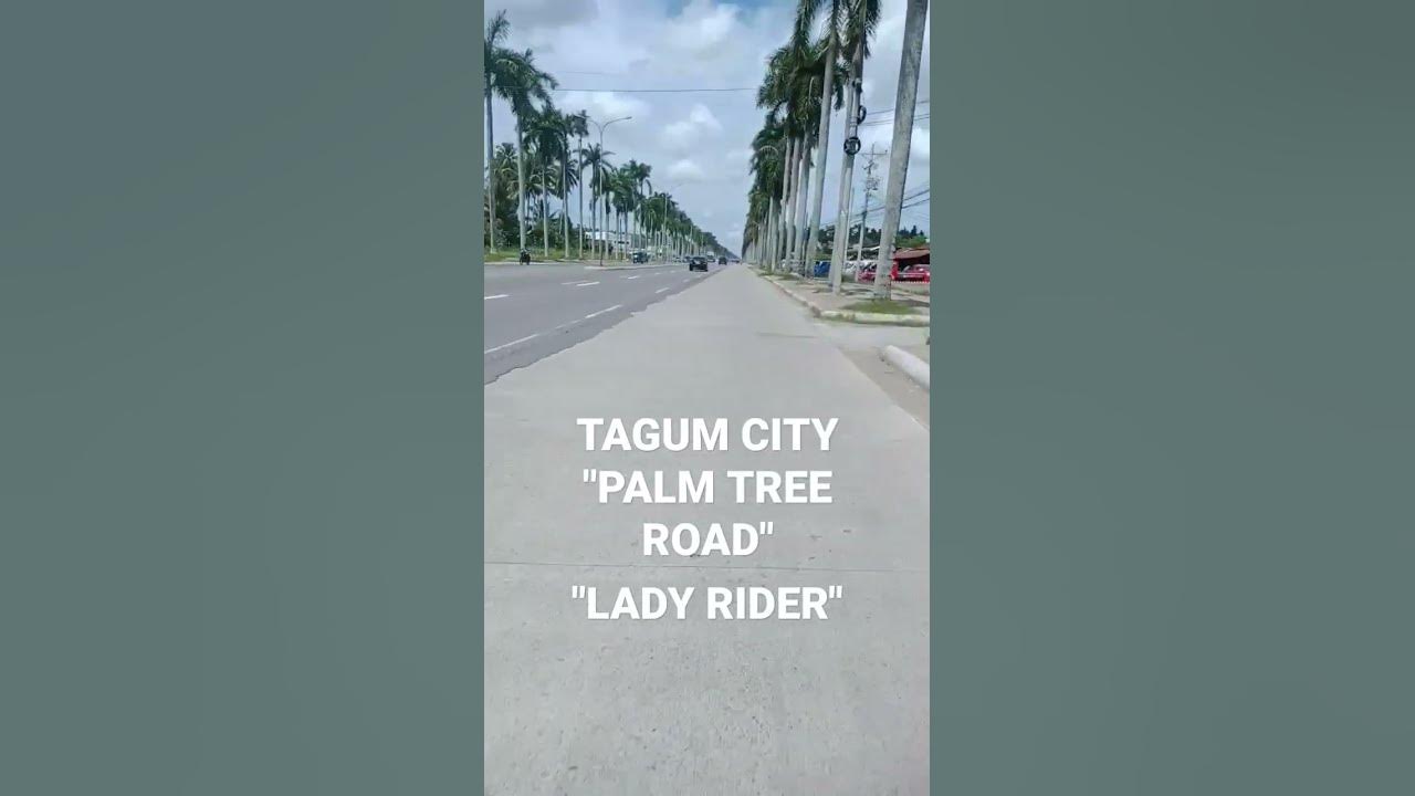 TAGUM CITY PALM TREE ROAD #subscribe #youtube #support #shortvideo # ...