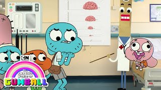 The Amazing World of Gumball | The Brain | Cartoon Network