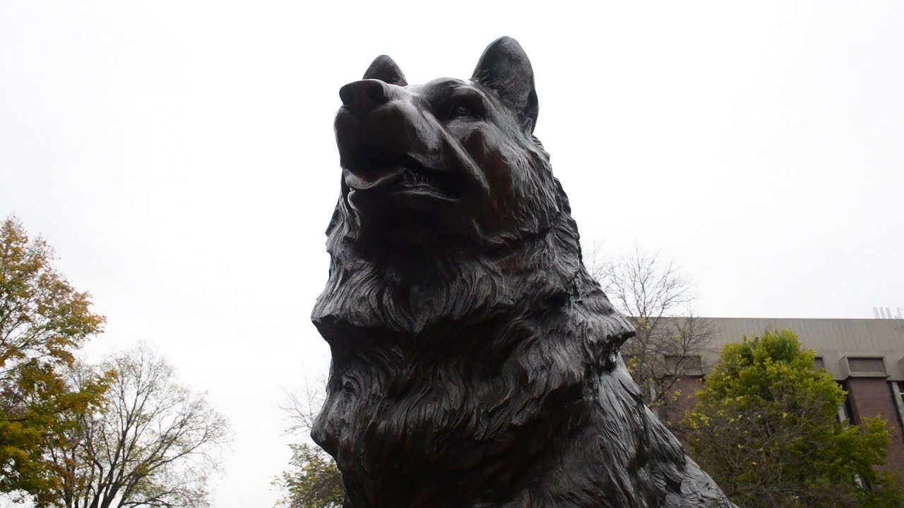 Preview image for Husky Traditions video