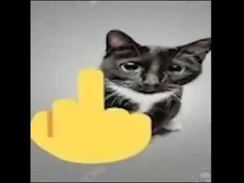 😾🖕 - YouTube