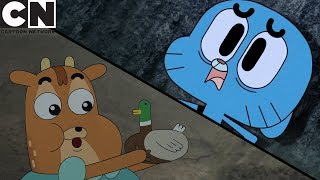 Gumball & Ivandoe | 3 Ways to Survive in the Forest | Cartoon Network