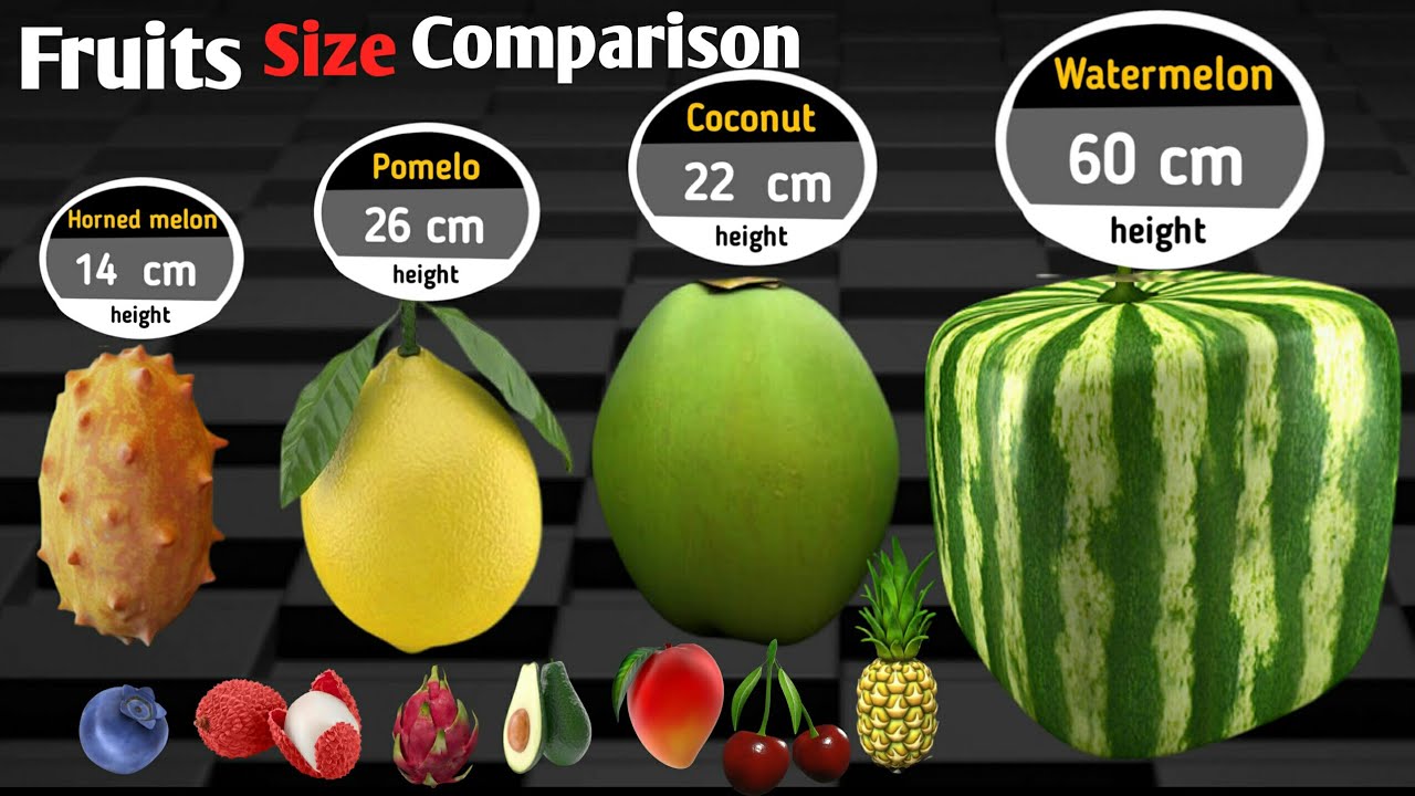 Fruits Size Comparison | 3D - YouTube