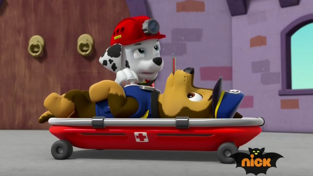 Marshall PAW Patrol Sick