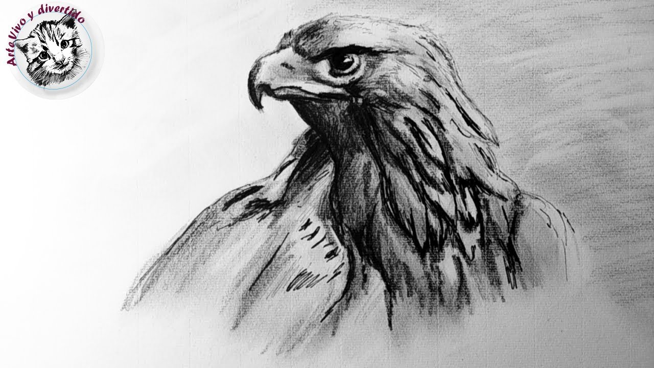 Como Dibujar un Aguila Realista Paso a Paso | tecnicas de dibujo, Grafito y  Tinta Avanzada - YouTube