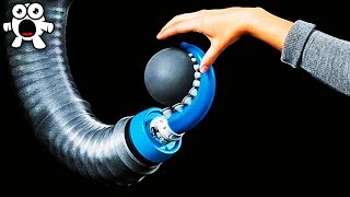 Top 10 Robot Animals You Won't Believe Exist