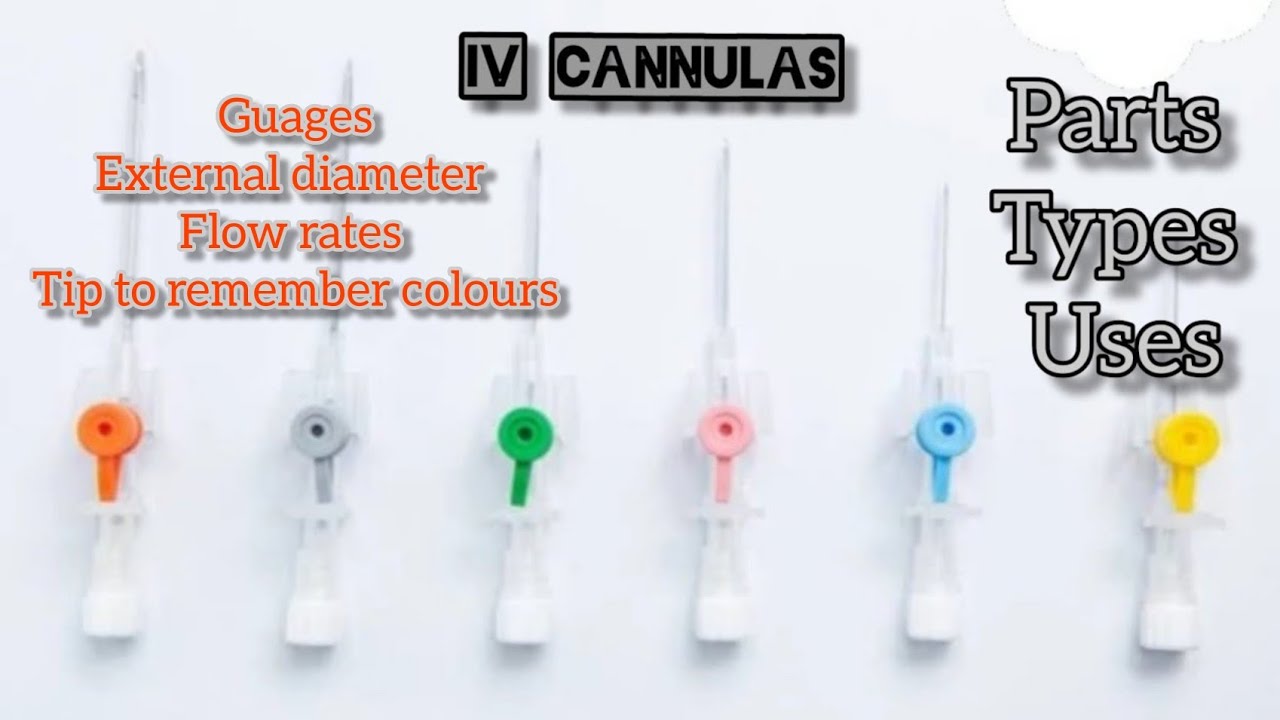 Different Iv Catheter Types | edu.svet.gob.gt